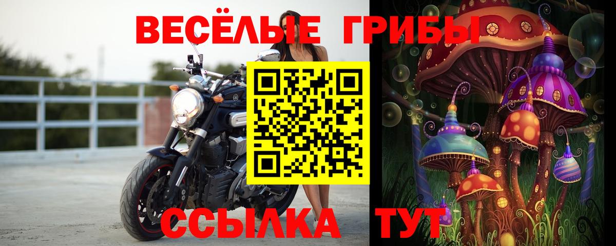 Псилоцибиновые грибы мицелий  Вход с VPN  Шатура  магазин  наркотиков  Галлюциногенные грибы Psilocybine cubensis 